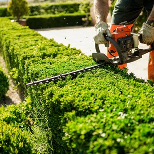 G&G LANDSCAPING SERVICES LLC