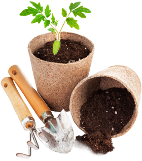 G&G LANDSCAPING SERVICES LLC